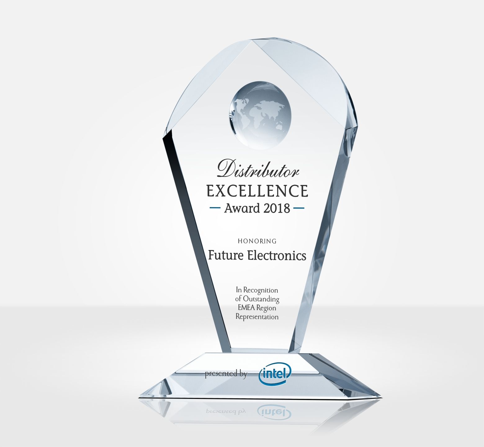 Top Distributor Excellence Award Trophy - DIY Awards