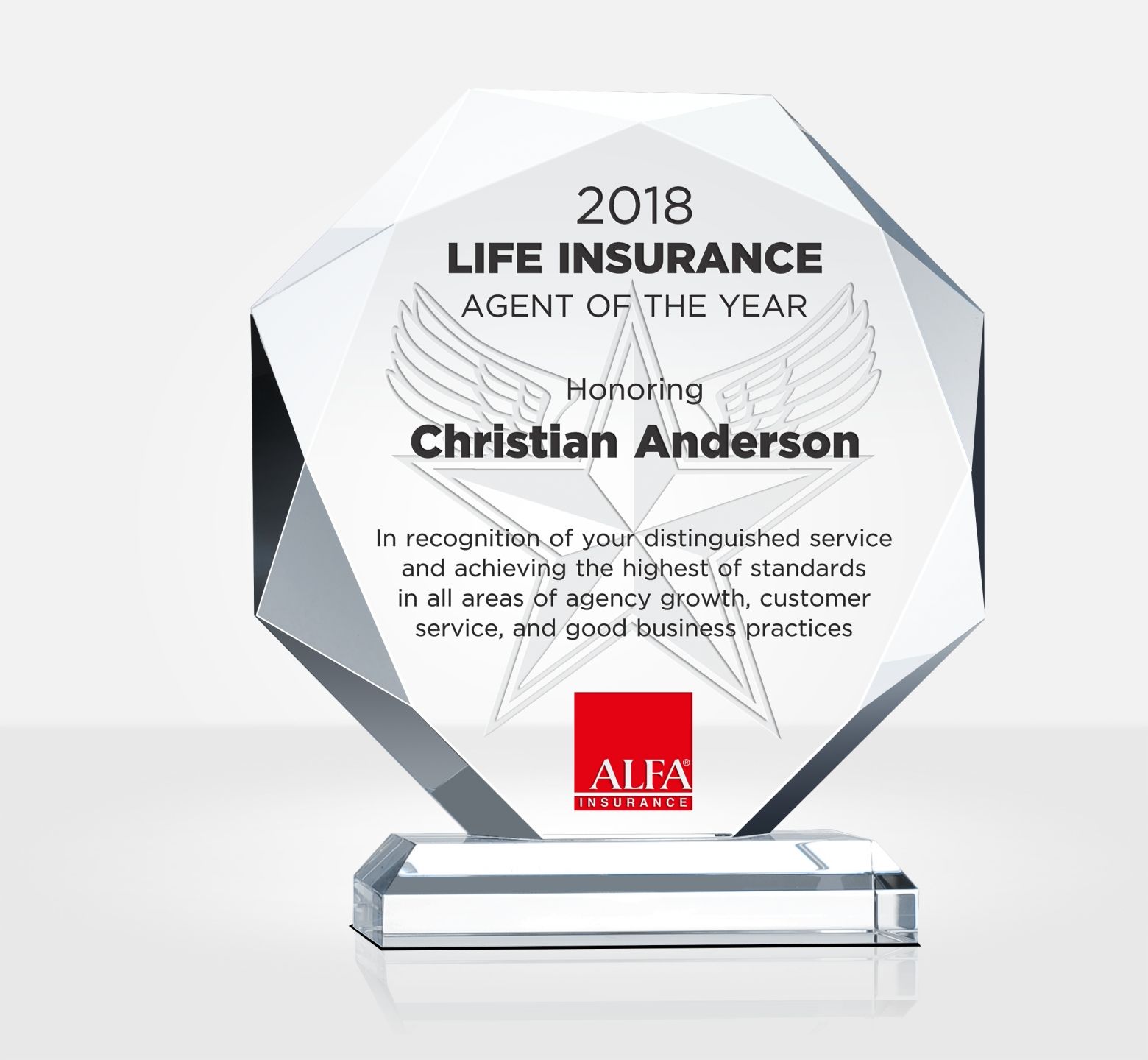 Insurance Agent of the Year Award Plaque DIY Awards